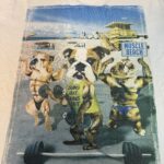 ST GEORGE BY DUFFER マッスルドッグ フォトプリントTシャツ