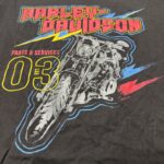 HARLEY DAVIDSON 半袖Tシャツ XL（レディースシルエット）